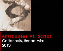 Antibodies 6.