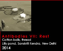 Antibodies VII: Rest.