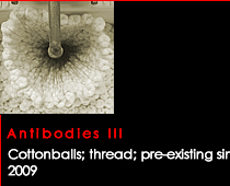 Antibodies 3.